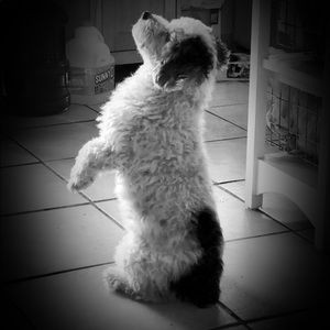 Meet your Posher, Erick